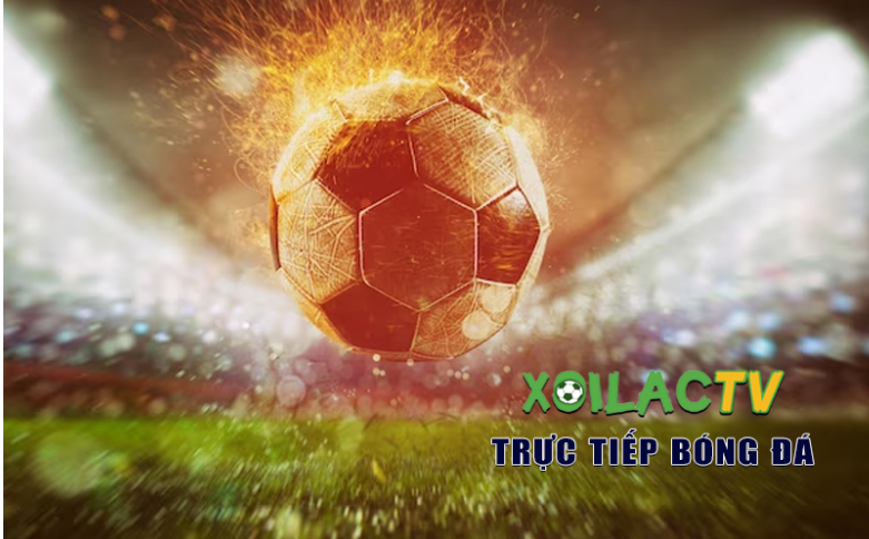 Một số điều người dùng cần lưu ý khi xem trực tiếp Euro 2024 trên Xoilac TV Một số điều người dùng cần lưu ý khi xem trực tiếp Euro 2024 trên Xoilac TV
